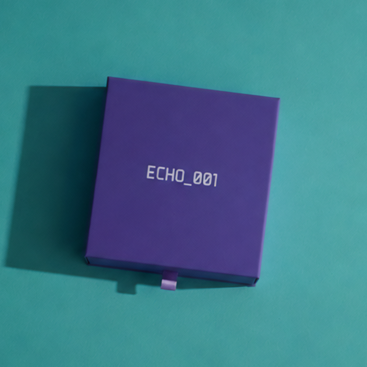 ECHO_001_SYSTEM (KLEIN)